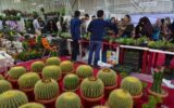 نوزدهمین نمایشگاه گل و گیاه، سوغات، صنایع دستی و هدایا نوزدهمین نمایشگاه گل و گیاه، سوغات، صنایع دستی و هدایا