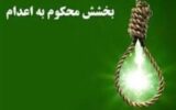 گذشت اولیای دم از قصاص به مناسبت دهه کرامت