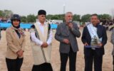 قزوین میزبان شوی سواره اسبان اصیل کشور