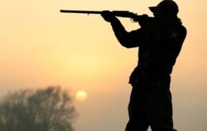 صيد و شكار غيرمجاز در الموت شرقی/متخلف پيش از هرگونه اقدام، زمين‌گير شد