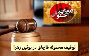 جریمه ۳۶۹ میلیارد ریالی قاچاقچی در بوئین زهرا