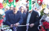 جشنواره گردو در ضیاآباد؛ فرصتی برای معرفی ظرفیت‌های کشاورزی و اقتصادی تاکستان