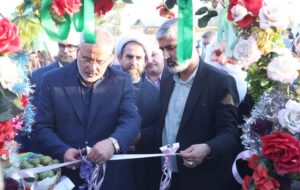 جشنواره گردو در ضیاآباد؛ فرصتی برای معرفی ظرفیت‌های کشاورزی و اقتصادی تاکستان